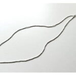 19-SS-N06