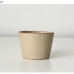 DISHESCUP_m