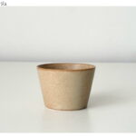 DISHESCUP_S
